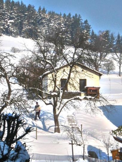 Gräfenthal Hotel-Gasthaus Steiger מראה חיצוני תמונה